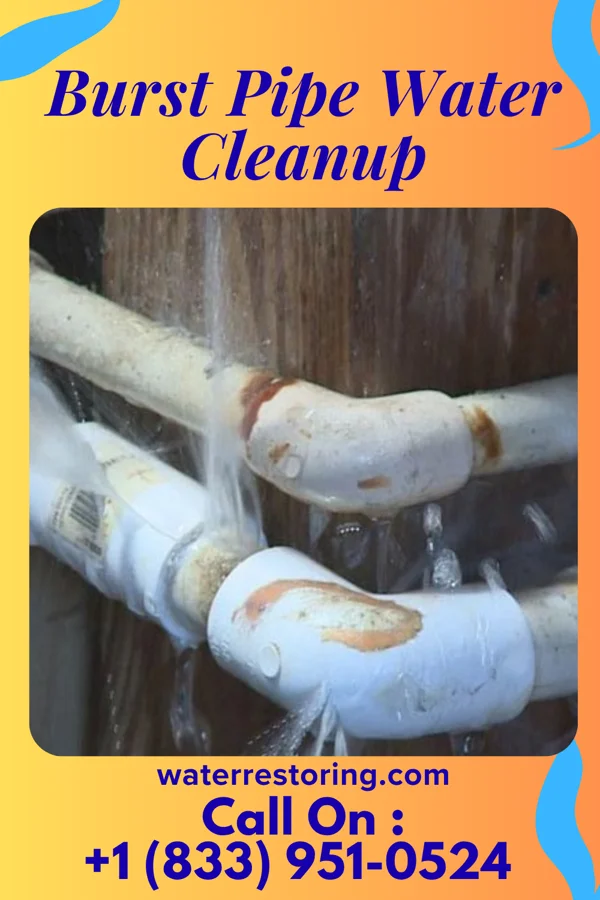 Burst Pipe Water Cleanup in Winnemucca, NV