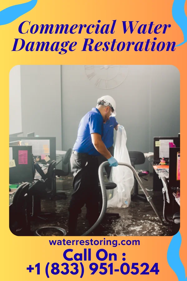 Commercial Water Damage Restoration in Winnemucca, NV